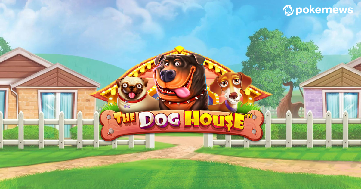 Слот The Dog House в Олимп Казино